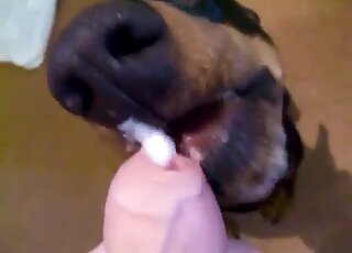 Licking