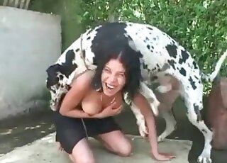 Dalmatian